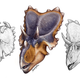 Illustration for article titled Mercuriceratops: flashy Cadillac of the late Cretaceous